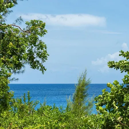 Sea Breezes At Siena Gardens